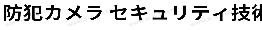 防犯カメラ セキュリティ技術 未来の防犯字体转换